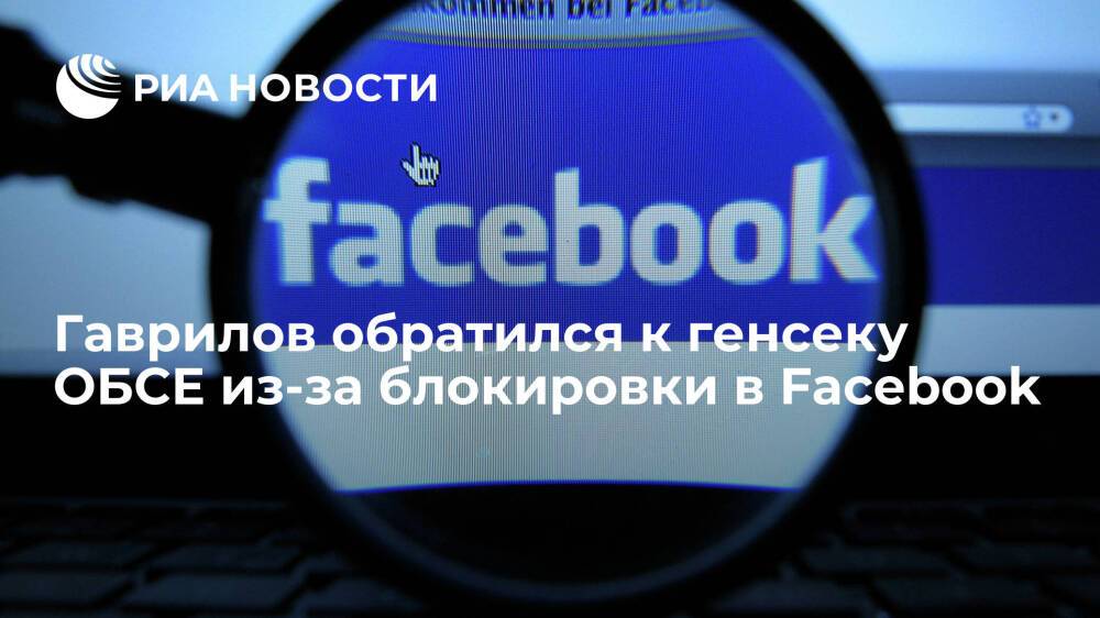 Глава делегации в Вене Гаврилов обратился к генсеку ОБСЕ Шмидт из-за блокировки в Facebook