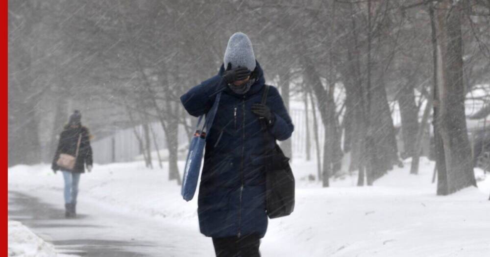 Сильный ветер, снег и высокую температуру обещают в Москве 17 января