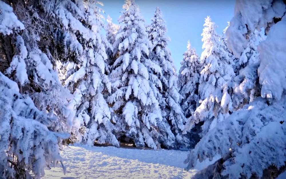 Почти везде снег и сильный ветер: синоптики предупредили о непогоде 17 января