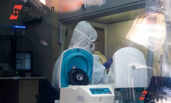 Свердловская лаборатория научилась распознавать «омикрон»