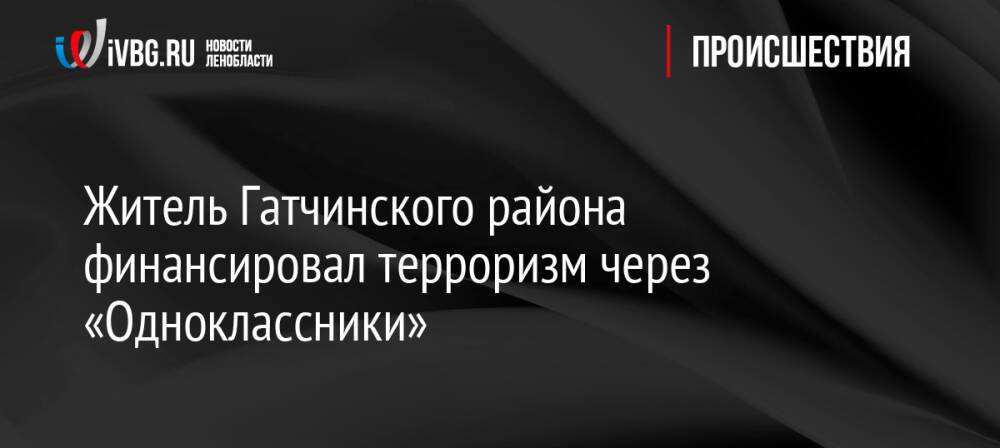 Житель Гатчинского района финансировал терроризм через «Одноклассники»