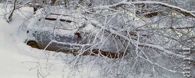 Саратовских водителей призвали отказаться от личного транспорта на время ликвидации последствий снегопада
