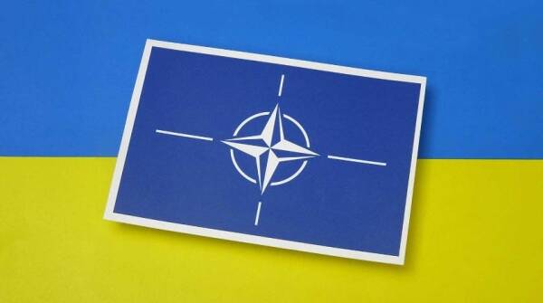Житель Украины решил отдать свой участок под базу НАТО