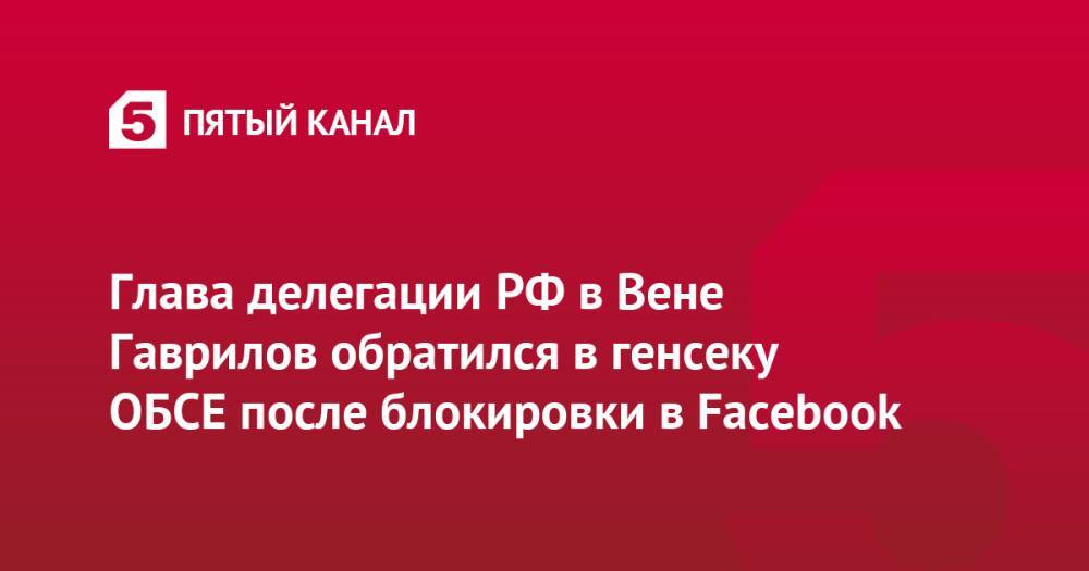 Глава делегации РФ в Вене Гаврилов обратился в генсеку ОБСЕ после блокировки в Facebook