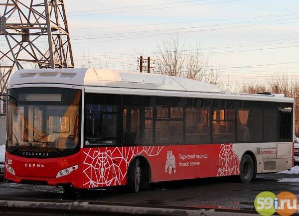 В Перми подвели итоги первой недели действия нового тарифного меню в общественном транспорте