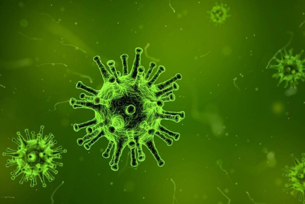 В Тульской области зафиксировали 3 случая гонконгского гриппа