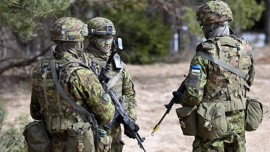 Военный эксперт объяснил призыв Эстонии разместить в стране больше сил НАТО
