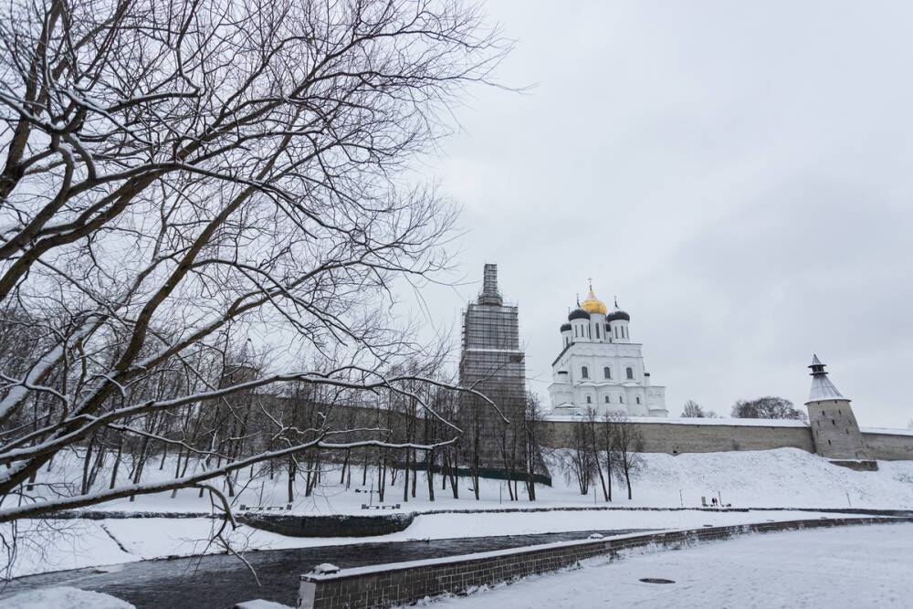 Метель обещают синоптики жителям Псковской области 18 января