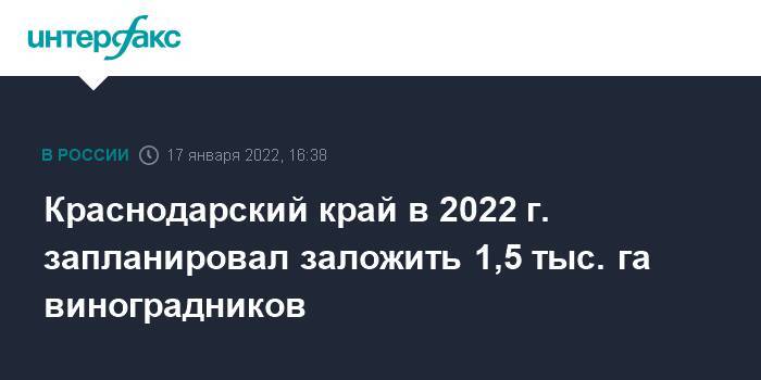 Краснодарский край в 2022 г. запланировал заложить 1,5 тыс. га виноградников