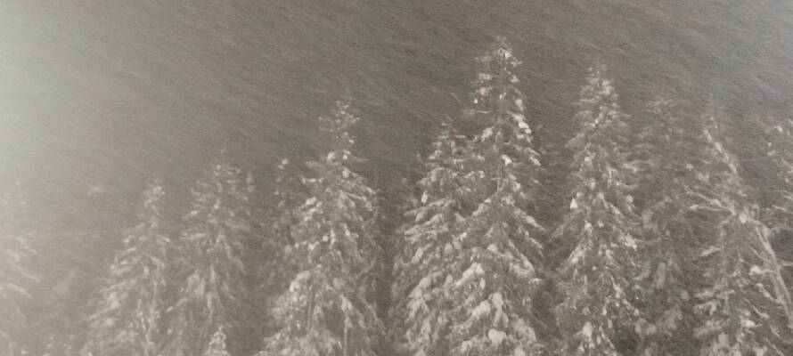 Сильный ветер и снег продолжат испытывать на прочность жителей Карелии 18 января