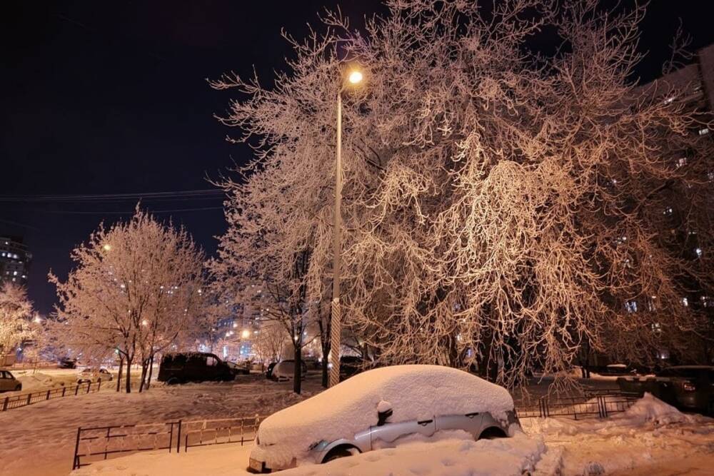 Петербуржцы назвали ситуацию с уборкой снега Ледниковым периодом