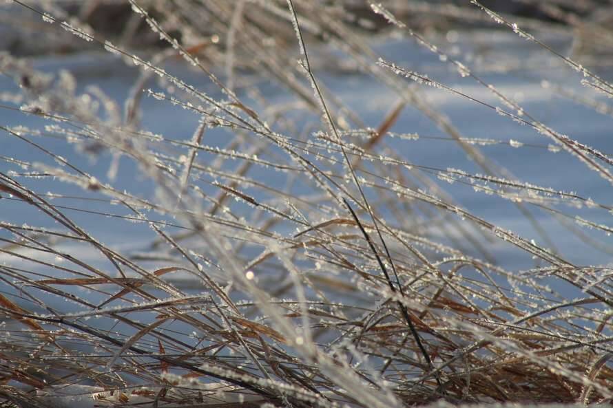 Штормовой ветер и снег обрушатся на украинцев завтра –прогноз погоды на 18 января