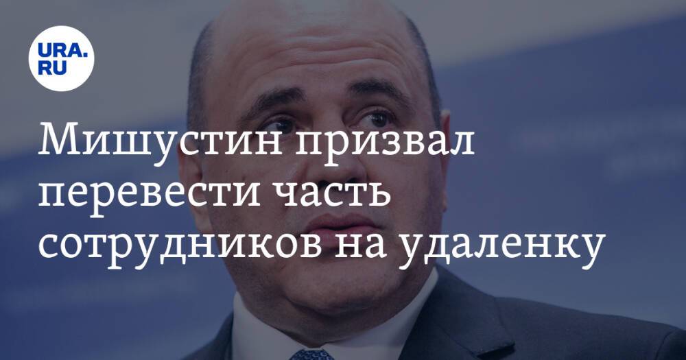 Мишустин призвал перевести часть сотрудников на удаленку