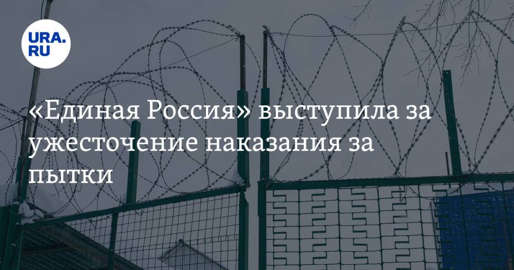 «Единая Россия» выступила за ужесточение наказания за пытки