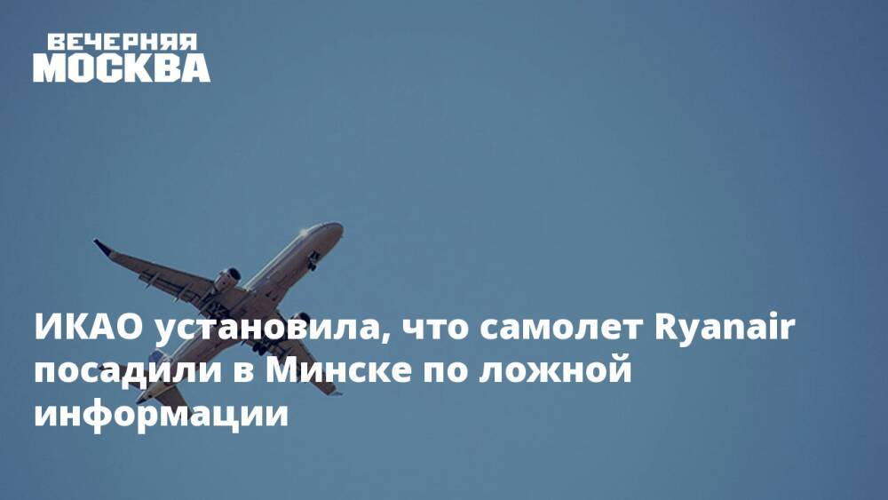 ИКАО установила, что самолет Ryanair посадили в Минске по ложной информации