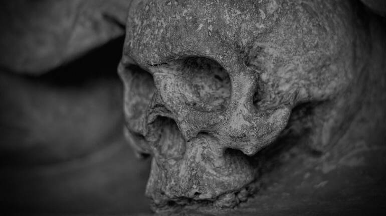 В заброшенном доме в Ленобласти нашли обглоданный скелет неизвестного