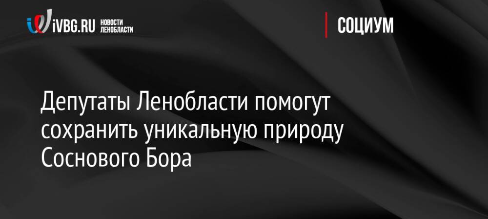 Депутаты Ленобласти помогут сохранить уникальную природу Соснового Бора