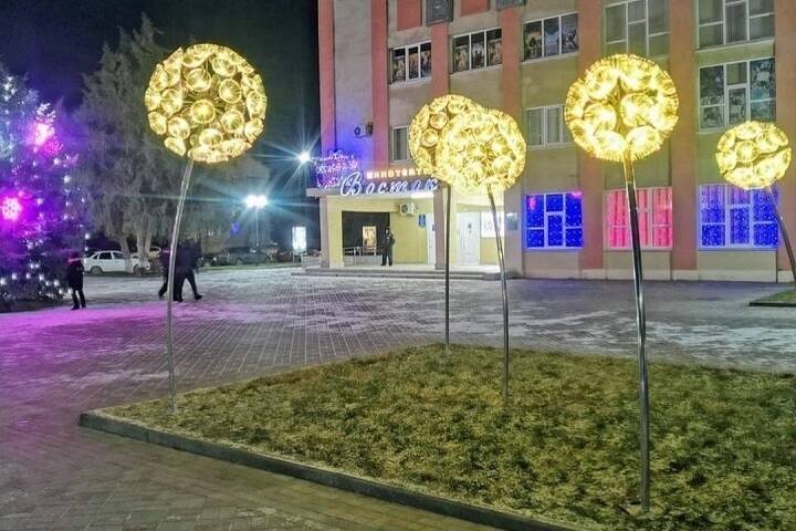 Глава Ставрополья поделился фотографиями «растущих» зимой одуванчиков