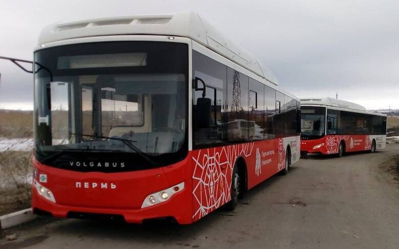 В Перми с начала года запустили два новых автобусных маршрута