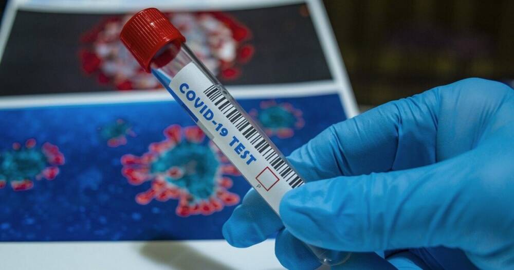 На 1 января коронавирусом инфицировалось уже 100 миллионов жителей Европы