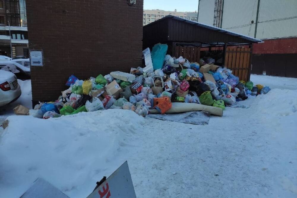 Тарифы поднимают, а мусор не вывозят: петербуржцы пожаловались на переполненные контейнеры с отходами
