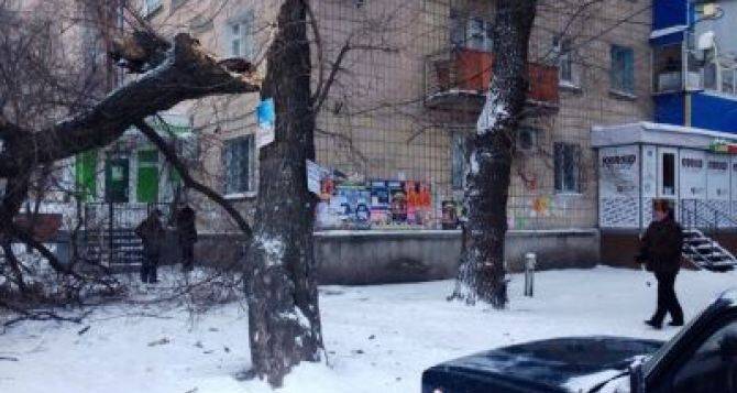 Завтра в Луганске ожидается штормовой ветер более 80 км в час. Реальное штормовое предупреждение