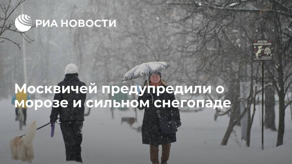 Сотрудник Центра "Фобос" Тишковец: снегопад со штормовым ветром придет в Москву в среду