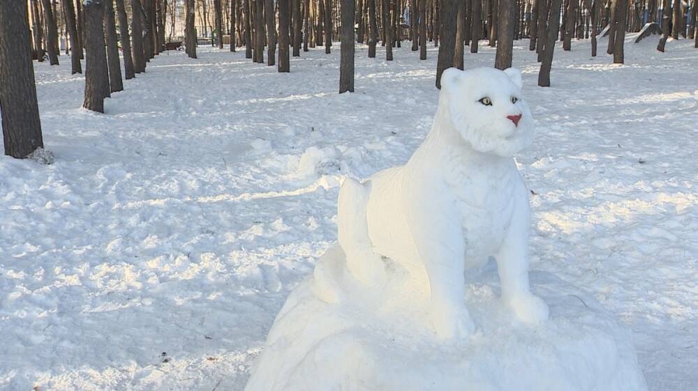 Снежный тигр в воронежском парке лишился головы