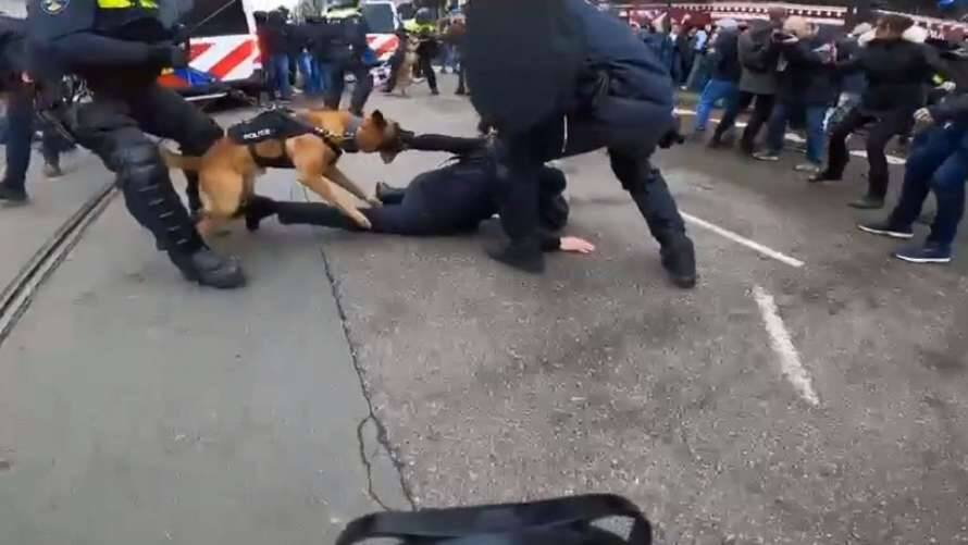 Протестующих против локдауна в Амстердаме избивали дубинками и травили собаками (видео)