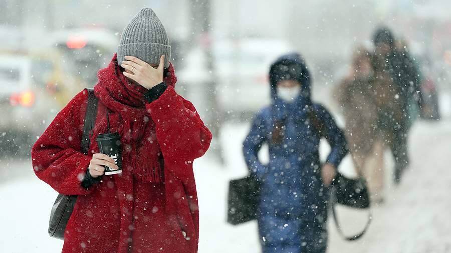 Синоптики рассказали о погоде в Москве 20 января