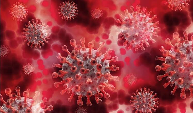 Онищенко предсказал окончание пандемии коронавируса в мае из-за омикрон-штамма