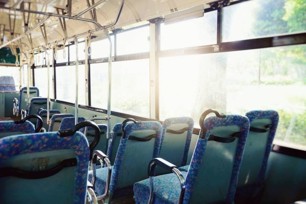 Петроградку и Приморский район соединят новым автобусным маршрутом
