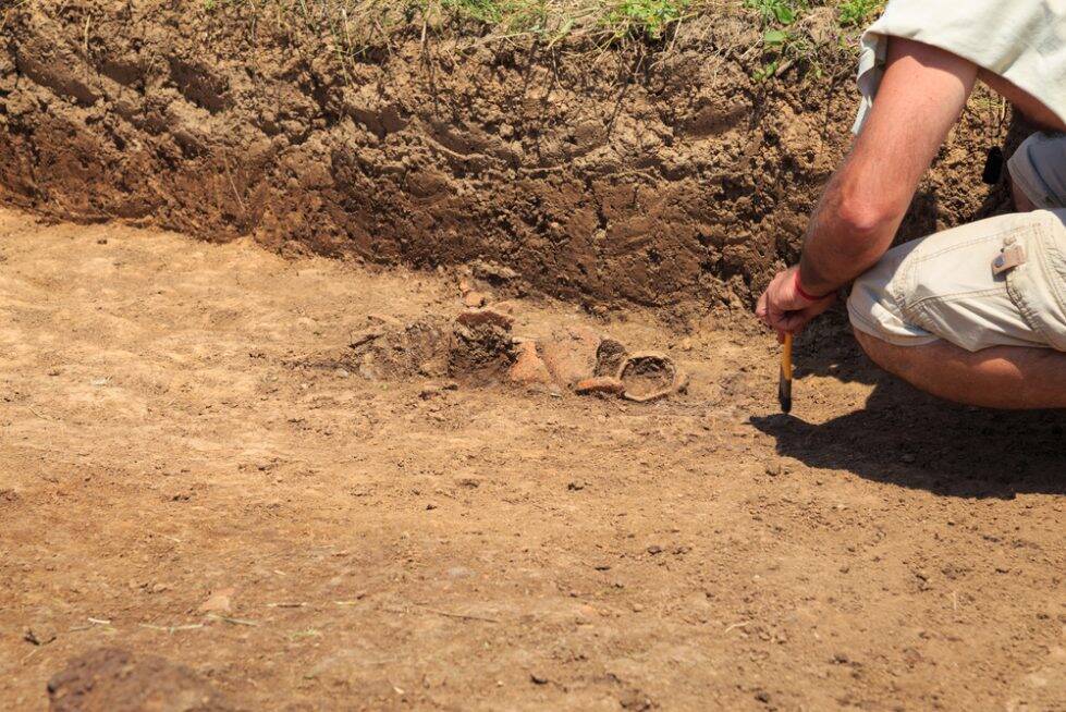 Китайские археологи обнаружили остатки алкоголя, которому 8 тысяч лет и мира