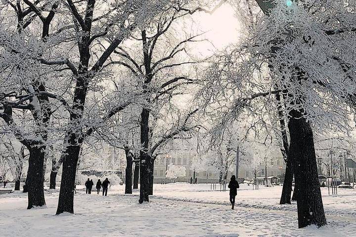 В Курской области 21 января ожидаются метели и снежные заносы