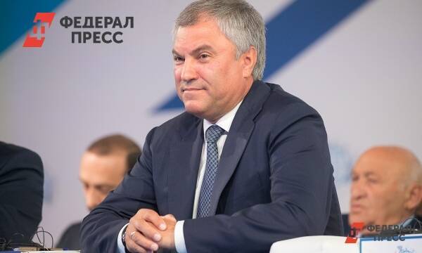 Когда в Госдуме обсудят признание ЛНР и ДНР: рассказал Володин