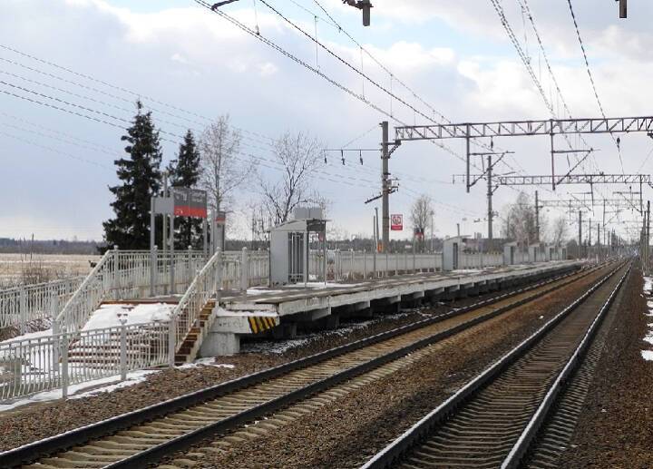 Поезд насмерть сбил переходившего пути 12-летнего мальчика в Ленинградской области