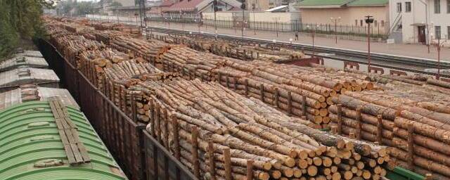 Еврокомиссия инициирует спор в ВТО с Россией из-за ограничений экспорта российского леса