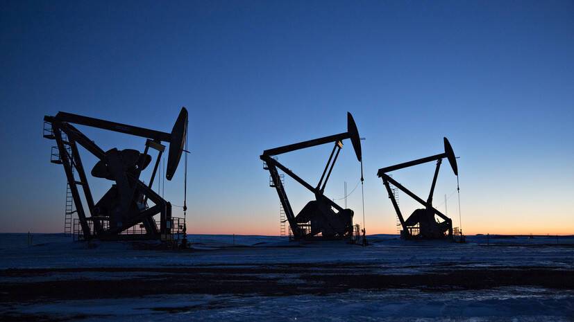 Экономист Мильчакова рассказала о причинах роста цен на нефть
