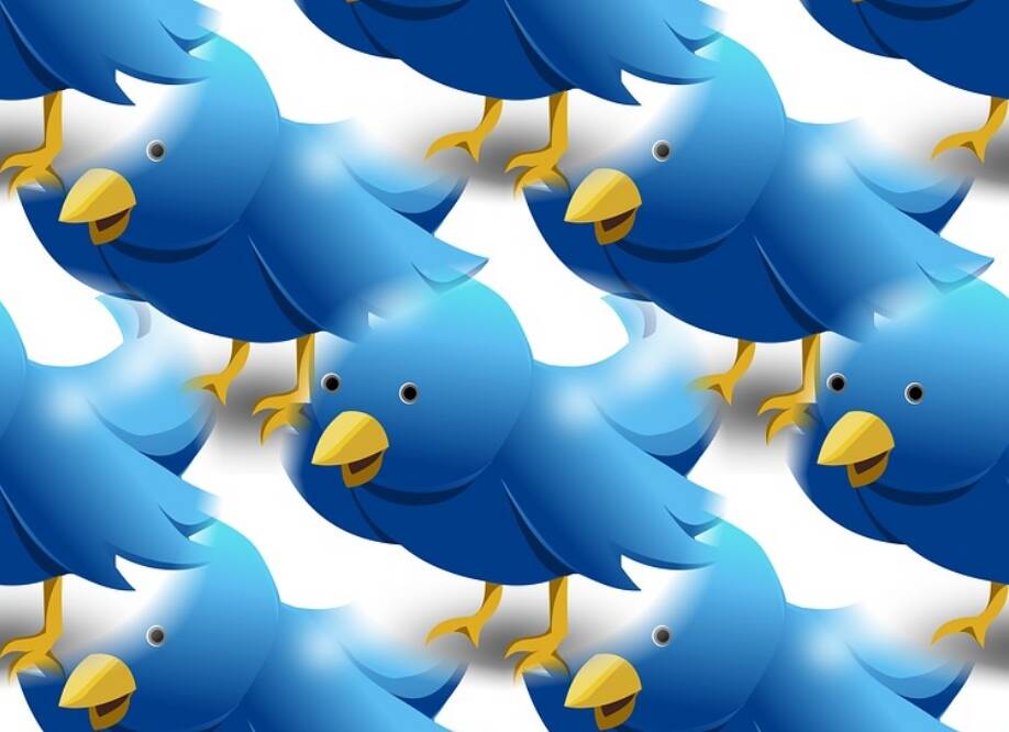 Twitter оголосив про інтеграцію NFT в якості фотографії в профілях