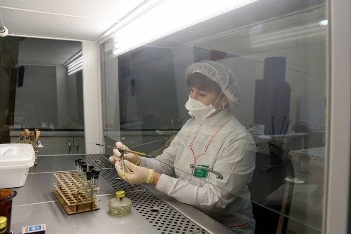 В Курской области для пациентов с ОРВИ закупили 96 тысяч экспресс-тестов на COVID-19