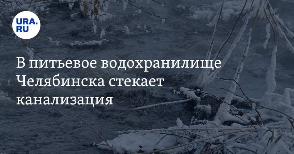 В питьевое водохранилище Челябинска стекает канализация. Фото, видео