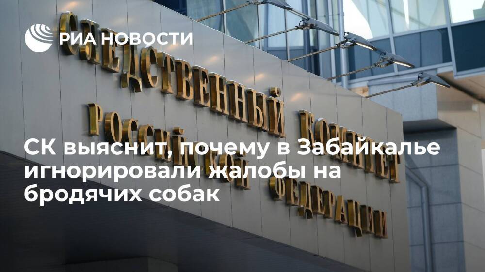 Глава СК Бастрыкин поручил ГСУ расследовать гибель девочки, убитой собаками в Забайкалье