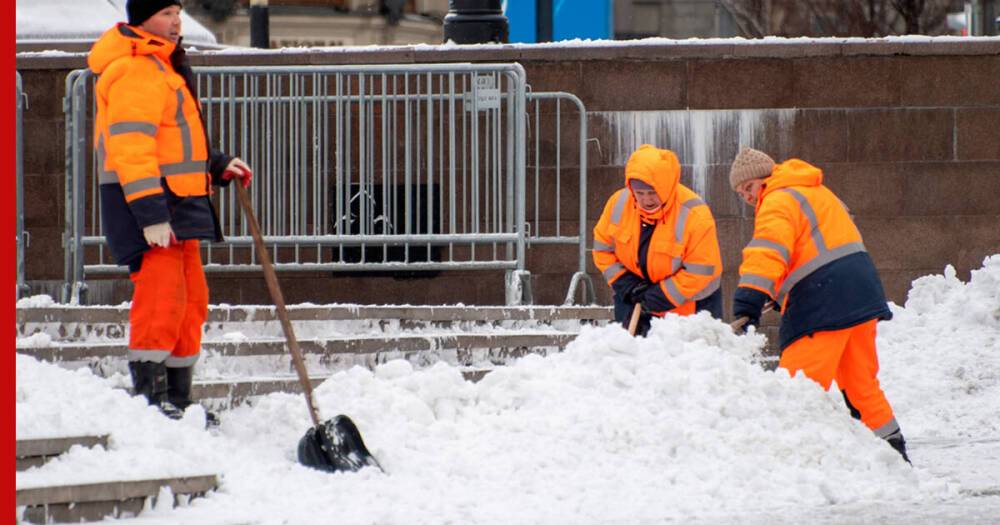 Власти Петербурга пообещали продолжить реформирование системы уборки улиц от снега