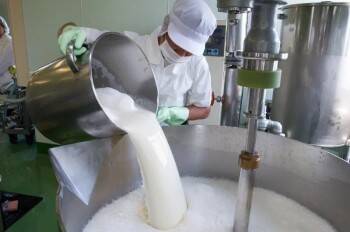 Вологодская область побила исторический максимум по производству молока
