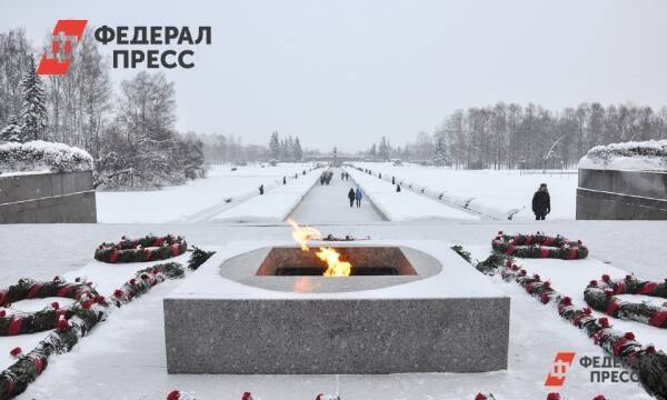 Дети снежками затушили Вечный огонь на Марсовом поле в Петербурге