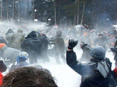 На петербурженку, дети которой играя в снежки потушили вечный огонь, составили протокол