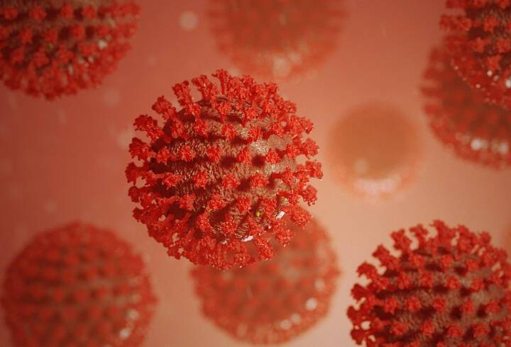 В ВОЗ предположили, когда закончится пандемия коронавируса