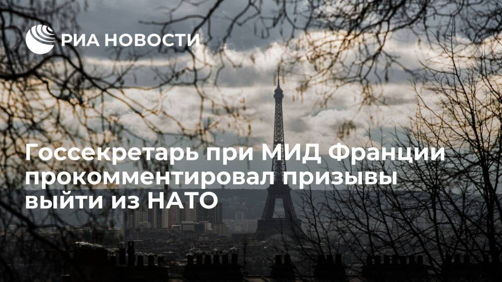 В Париже заявили, что выход Франции из НАТО был бы подарком для России
