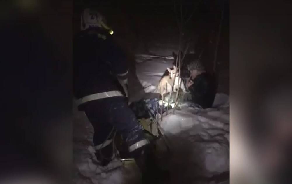 В Новосибирске пьяный мужчина гулял с собакой и чуть не замерз в лесу