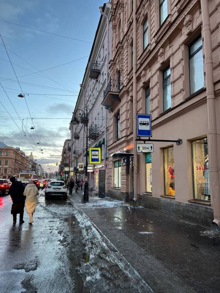 В Петербурге предложили обязать бизнес чистить тротуары